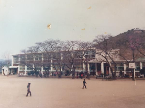 1981년도 학교 전경-2